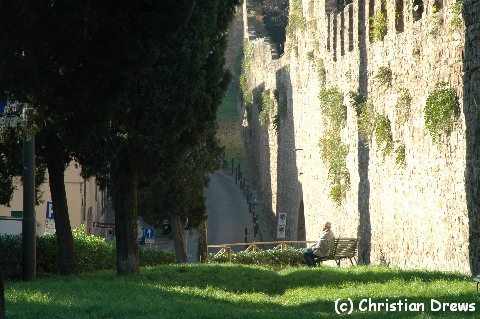 Alte Stadtmauer